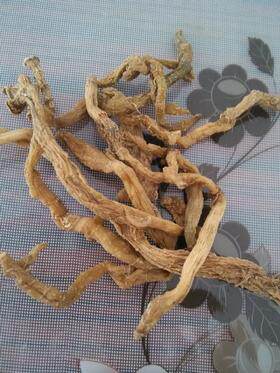 纯野生玉竹干品野生玉竹条玉参农家自晒精选500g包邮