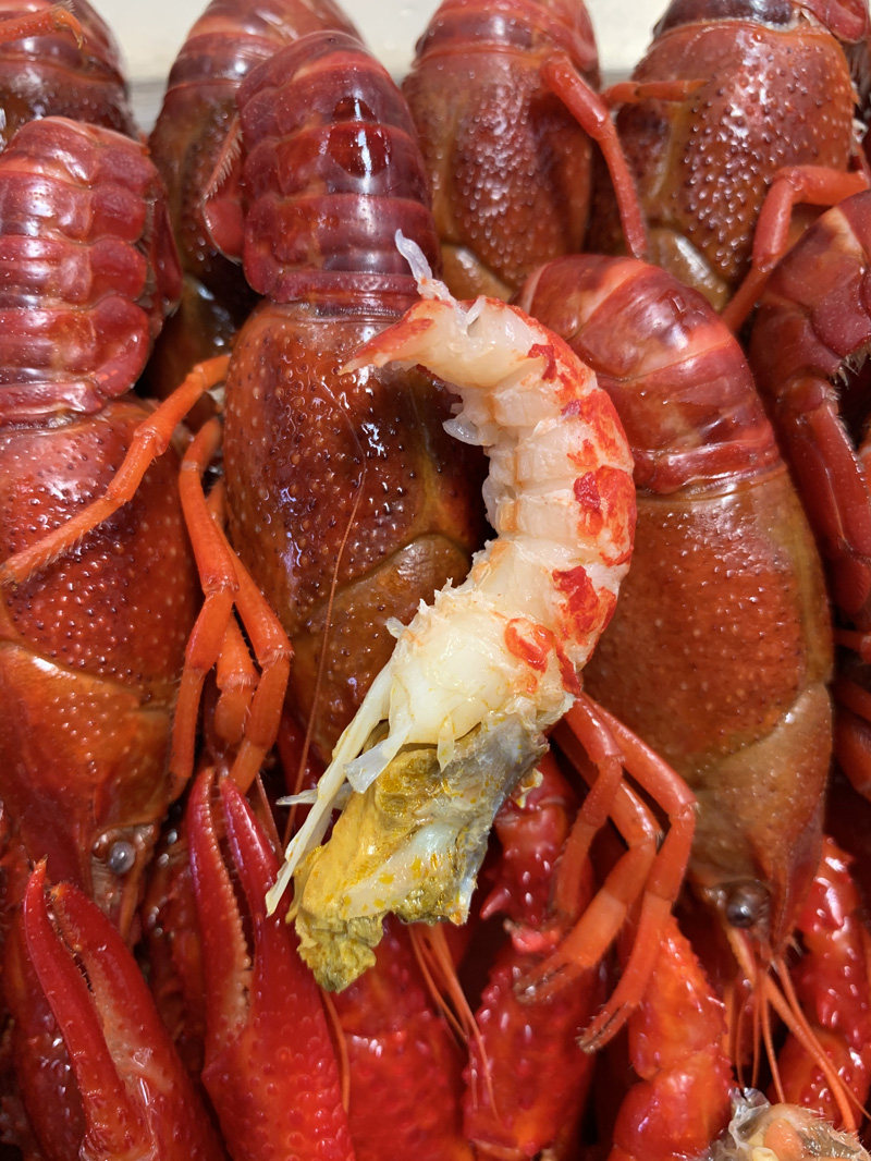 潜江液氮速冻鲜活清水整肢小龙虾内销出口冻货冻虾