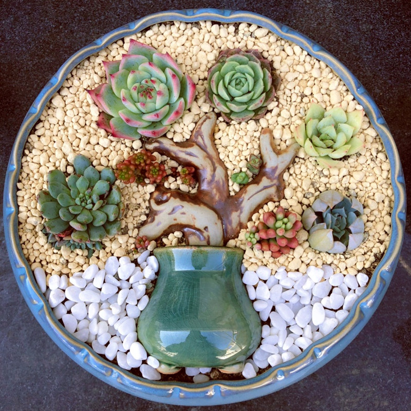 多肉造景组合拼盘花盆陶瓷摆件包邮 树枝树干 diy多肉微景观配件