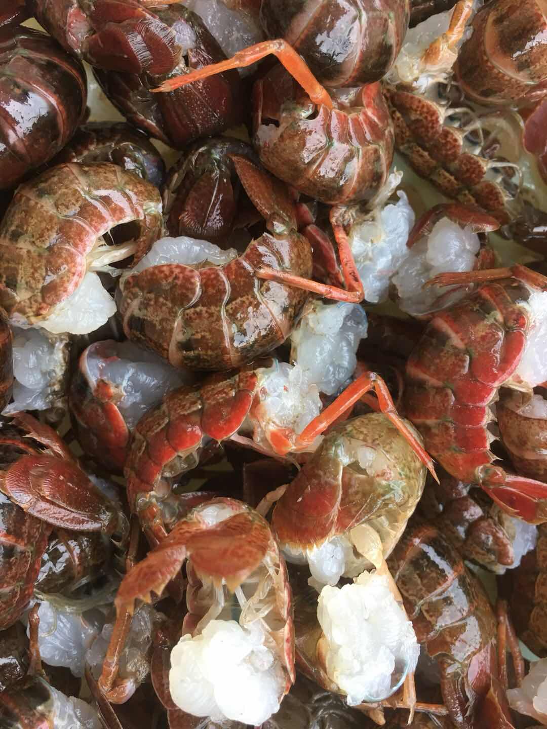 新鲜特级小龙虾虾尾冷冻鲜活水产活体特大虾球去虾线包邮500g装