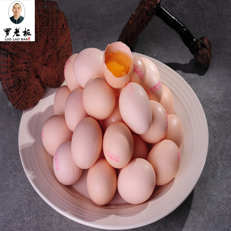 正宗江西寻乌县罗老板灵芝土鸡蛋营养新鲜柴草农家喜蛋20枚装包邮
