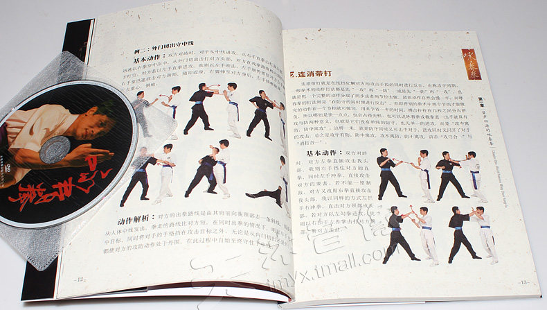 咏春拳基础入门教学视频教程自学全套木人桩教材谱书dvd光盘碟片
