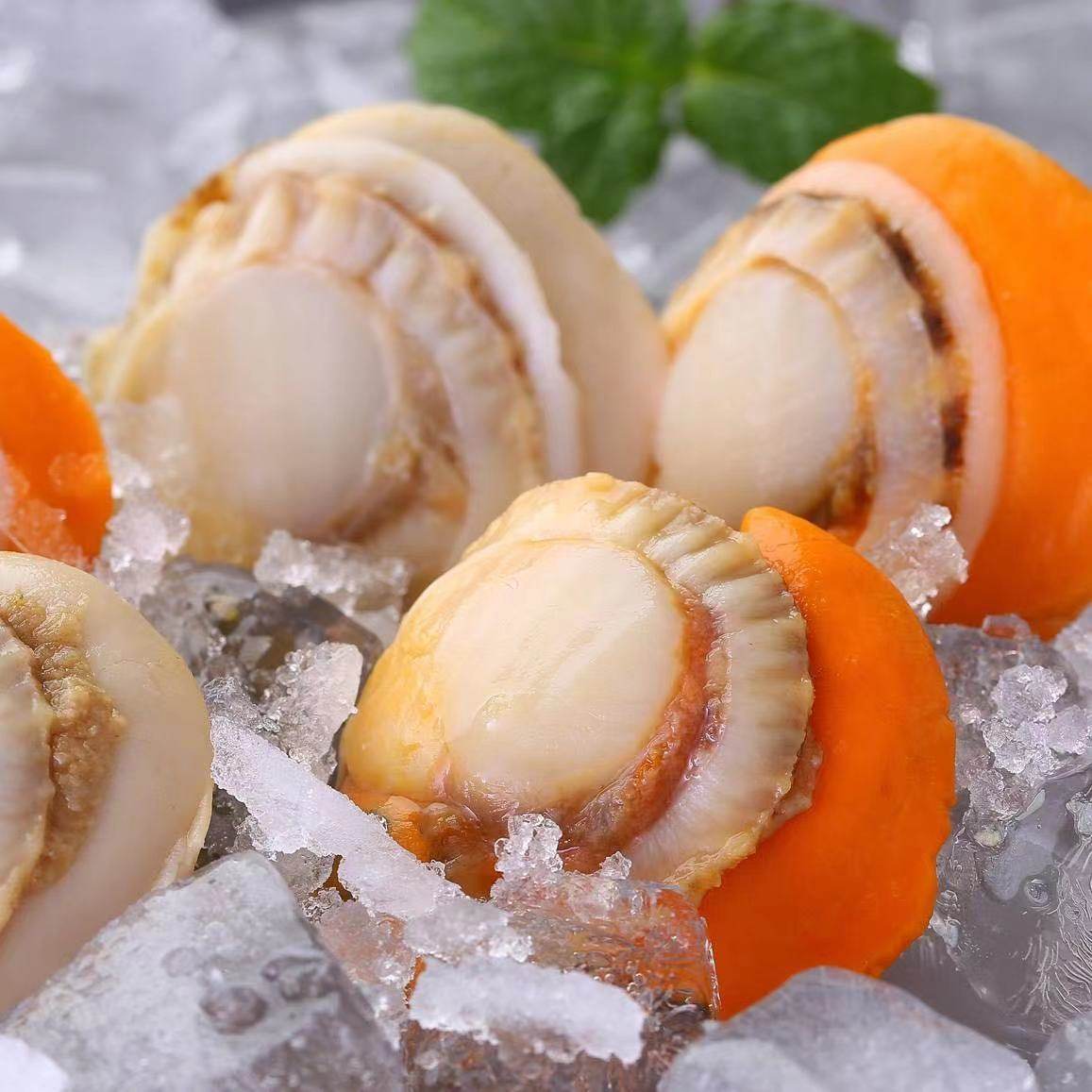 扇贝辰颐物语北城贝王红贝4袋共800g肉即海鲜扇贝