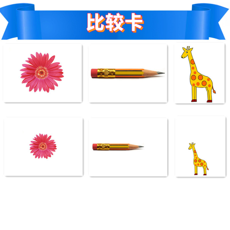 比较大小高矮长短对比自闭症训练教具发育迟缓早教闪卡