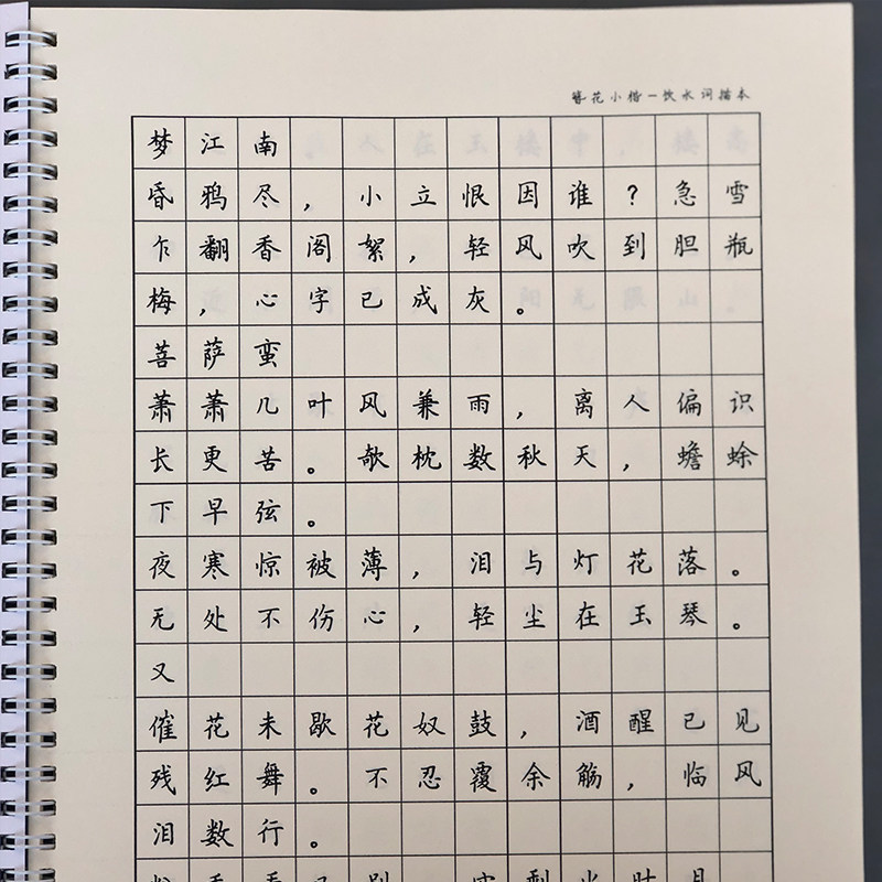 夫人簪花小楷纳兰性德饮水硬笔书法练字字帖女神练字本
