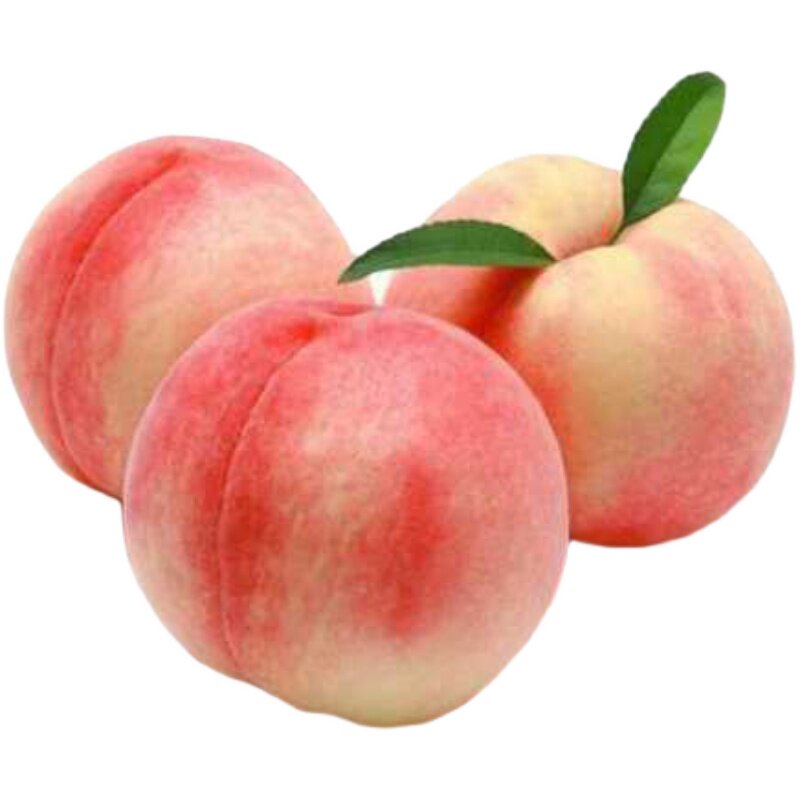 山东肥城桃子超大6个礼盒盒装肥桃现货现摘桃