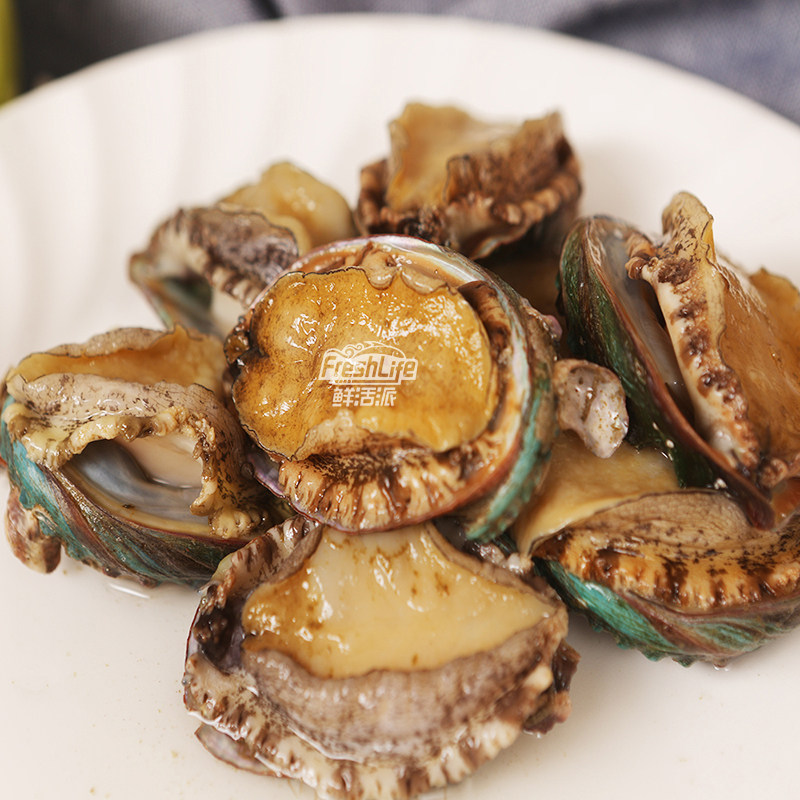 长沙单只海鲜九孔鲍贝天然特级鲍鱼大连鲜活鲍鱼