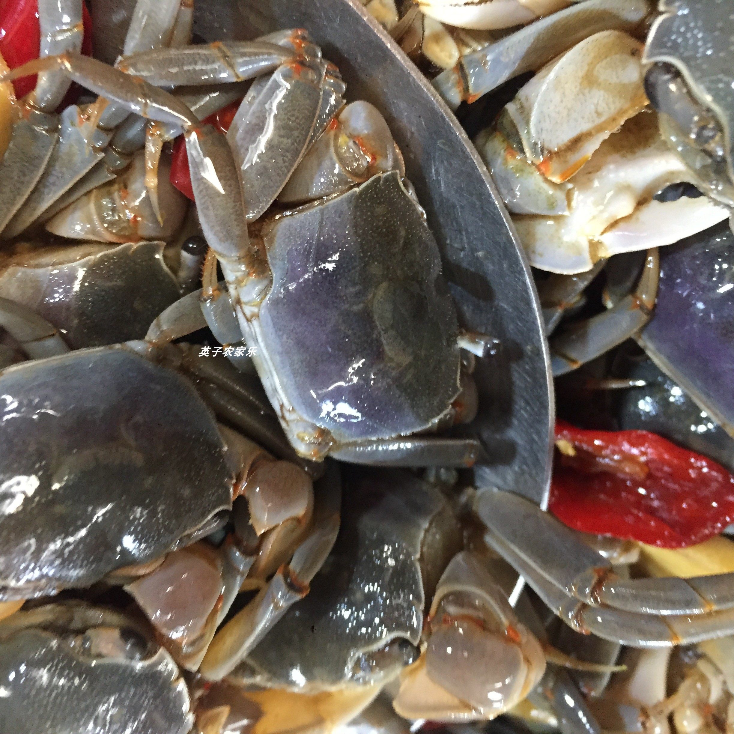 醉蟹发财蟹即罐装鲜活生呛腌制小螃蟹白玉蟹醉玉米
