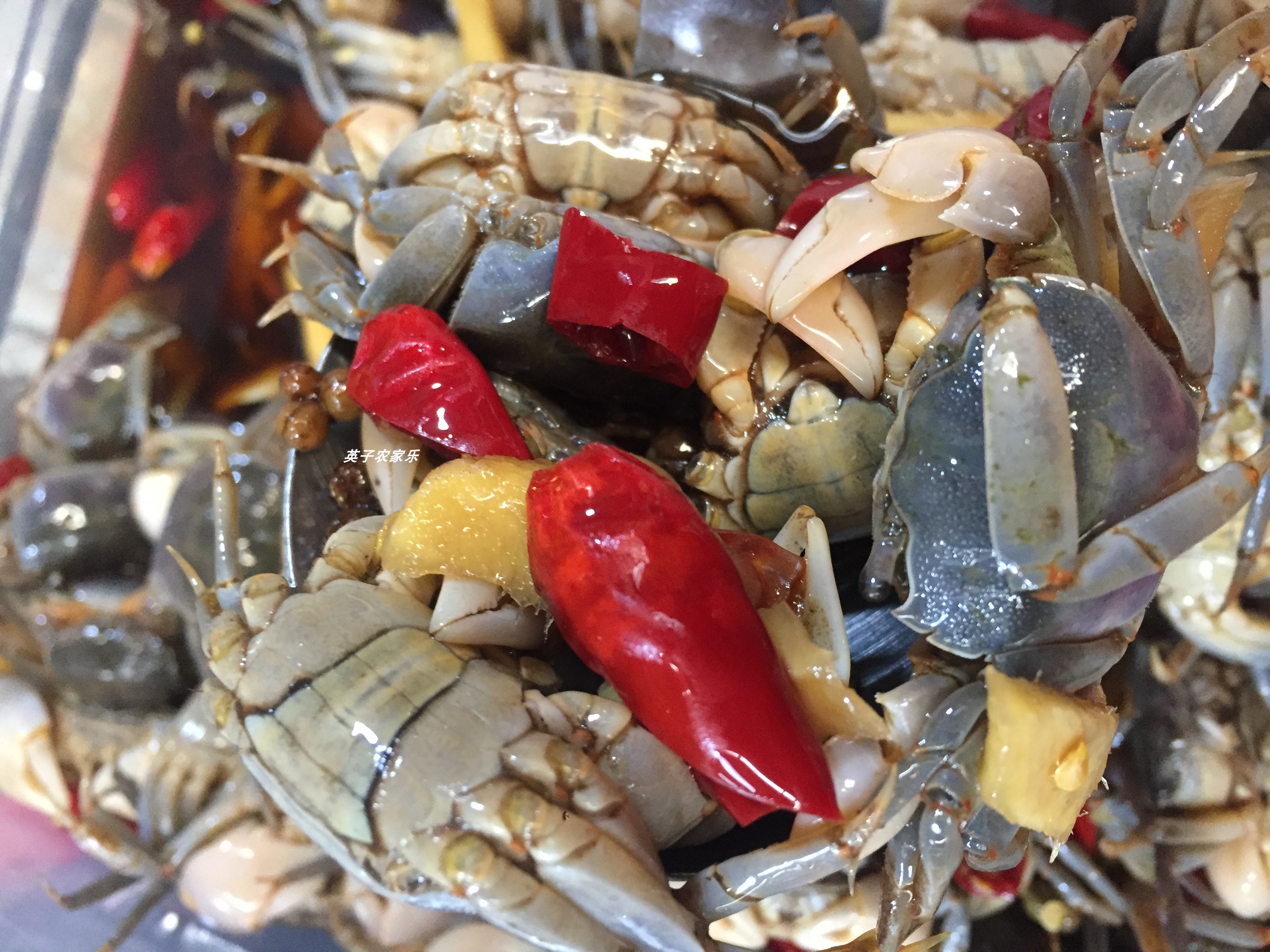 醉蟹发财蟹即罐装鲜活生呛腌制小螃蟹白玉蟹醉玉米