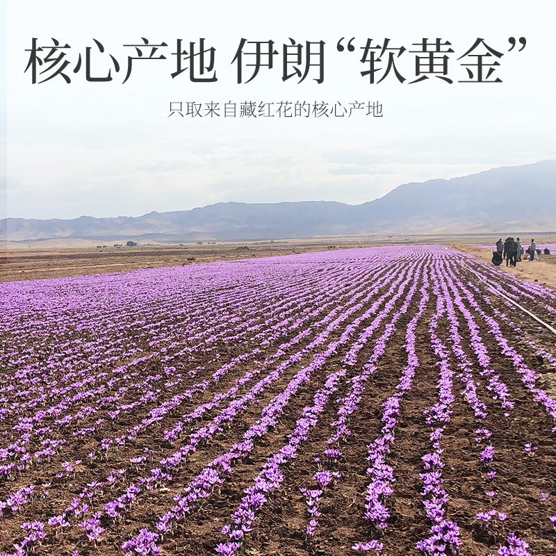 伊朗藏红花官方正品9g三八节礼盒当季头茬全红雌蕊送礼佳品