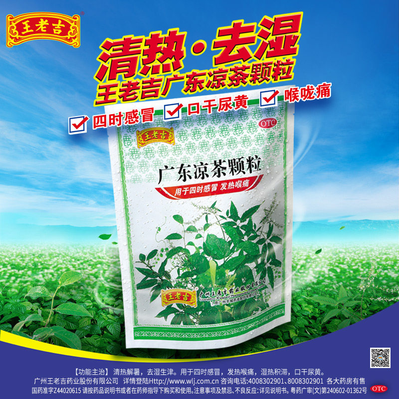 清热降火王老广东凉茶颗粒10g20袋发热去湿感冒咳嗽