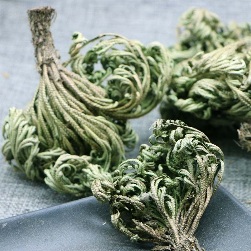 卷柏精选九死还魂小叶中药材石柏还阳岩柏万年其他药食同源食品