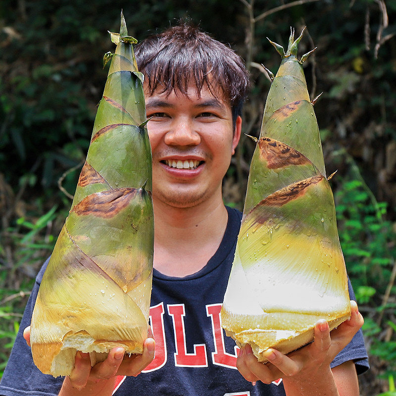 竹笋笋竹广西新鲜蔬菜现挖大头2021年新笋春笋竹笋