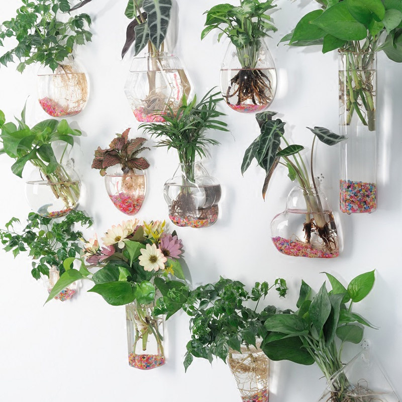 花盆挂墙壁挂创意水培植物绿萝吊篮悬挂墙上花盆