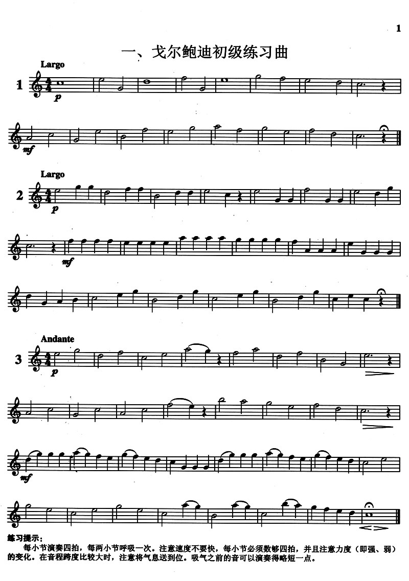 长笛练习曲正版编译自学初级提高入门基础书籍音乐新