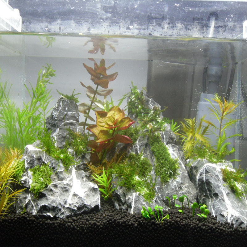 亚马逊ada水草泥套餐种植土基肥鱼缸造景底砂水族陶粒砂10斤包邮