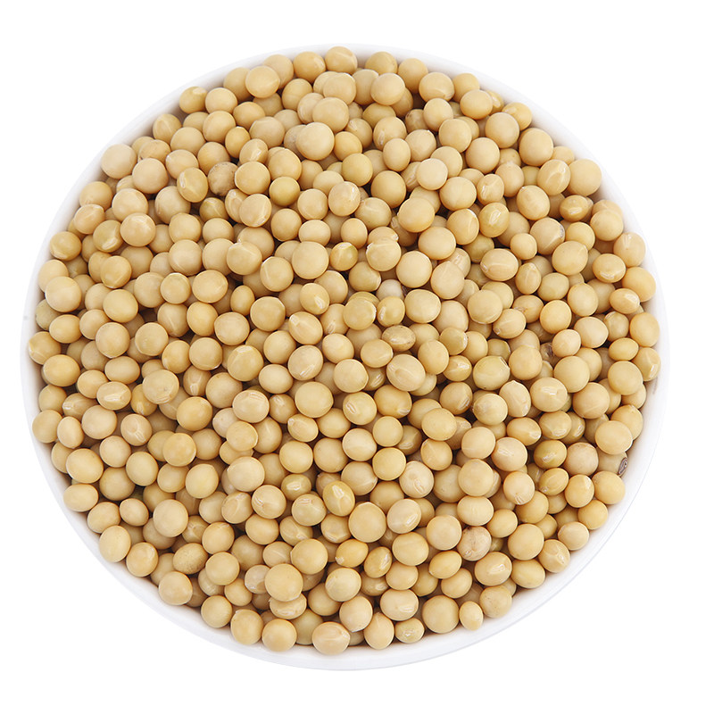 黄豆芽真空新品小粒珍珠高新发芽率42斤专用生芽黄豆