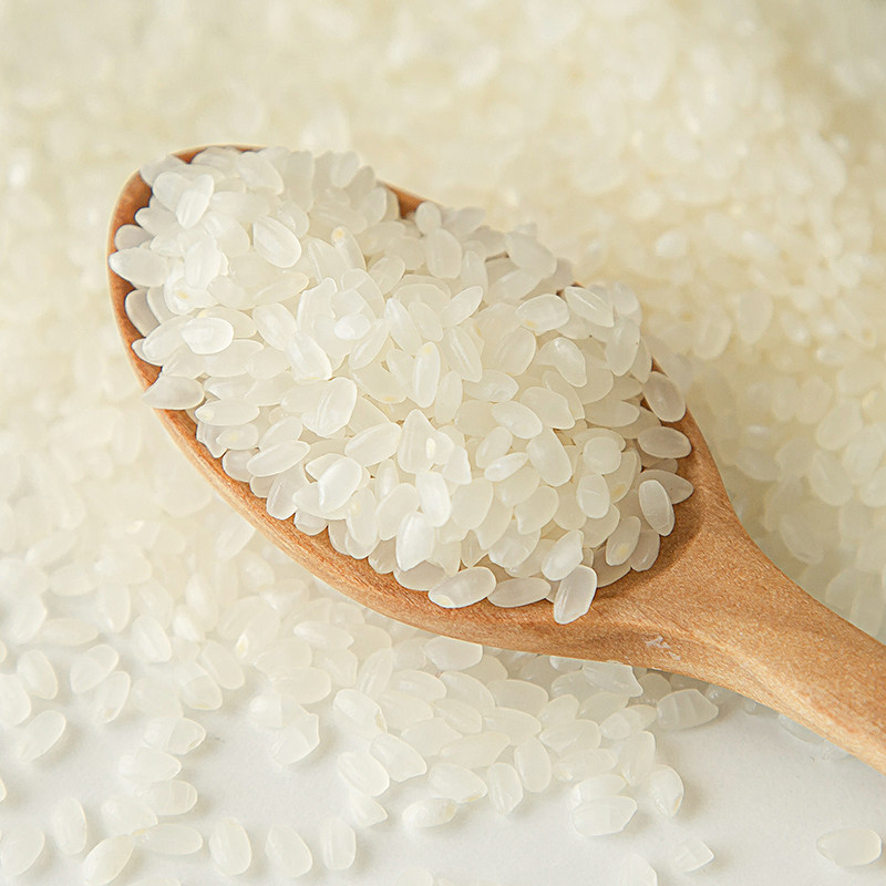 大米2020年新米上市5kg东北盘锦田地丰锦10斤大米