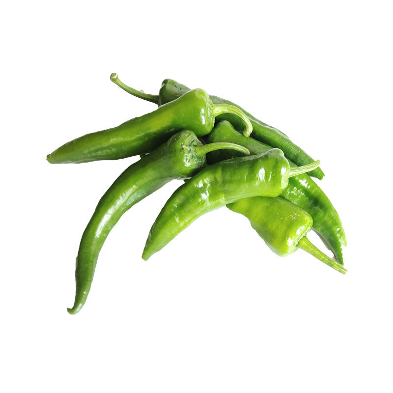 辣椒尖椒东北特产小青正宗辣妹子嘎嘎辣椒