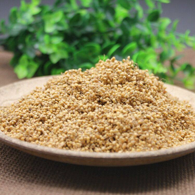 中药材小米芽 生谷芽 免费磨粉 炒谷芽 包邮500g要炒谷芽请备注下
