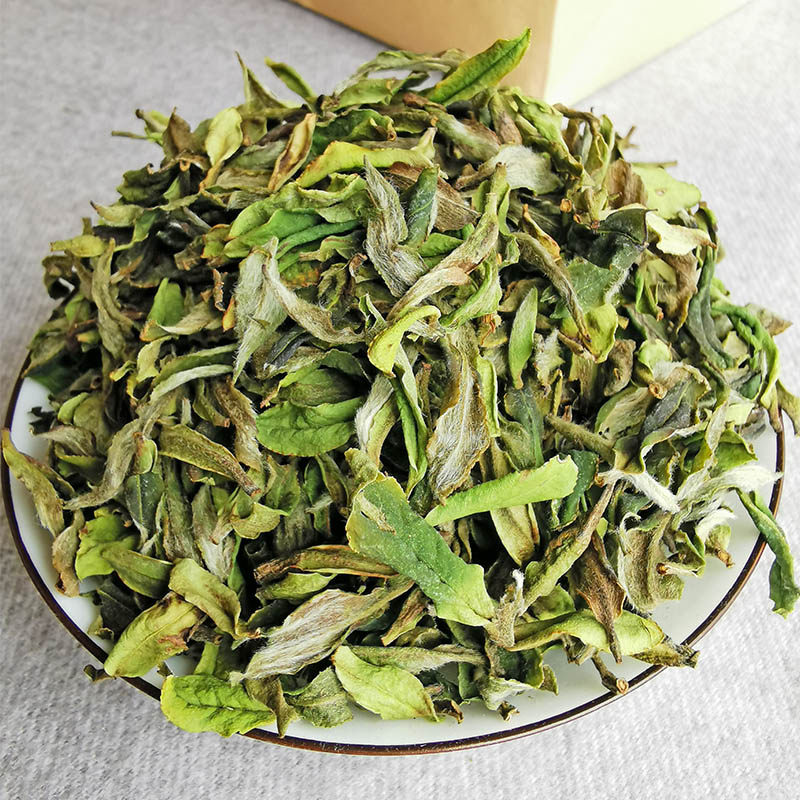 鱼叶2021新茶500g首采白毫银针管高山福鼎白茶白毫银针