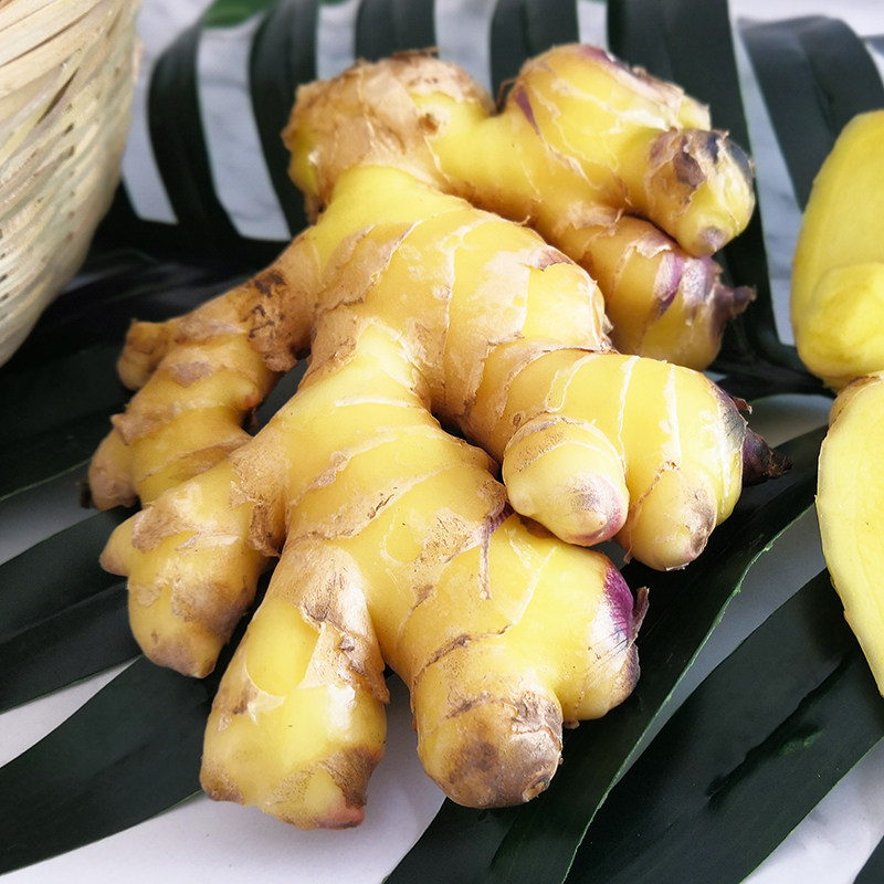 云南小黄黄姜10斤新鲜蔬菜生姜现挖特产包邮嫩生姜