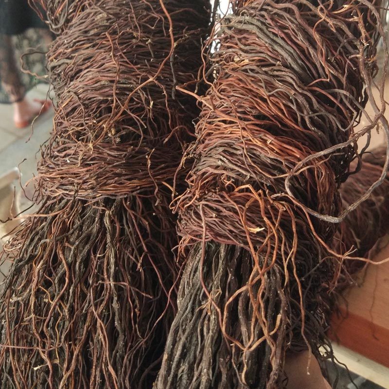 须根造景根须树须龙须根榕树须爬藤条天然鱼缸造景