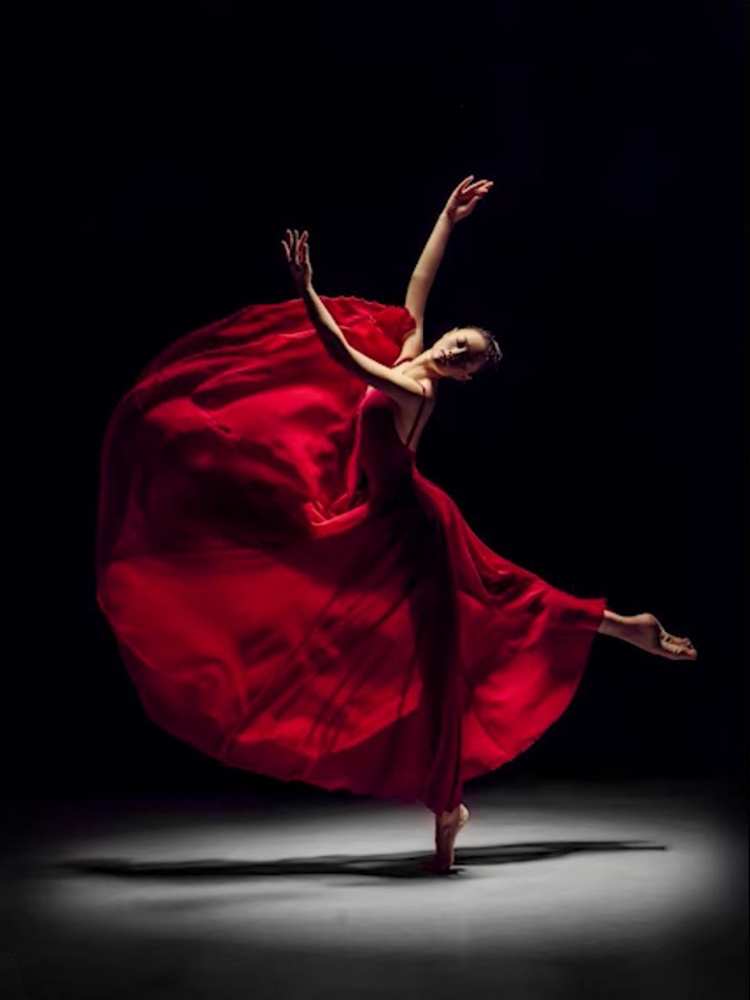 长芭蕾舞纱裙半身舞蹈女成人裙古典舞纱裙半身裙教室演出大摆长款