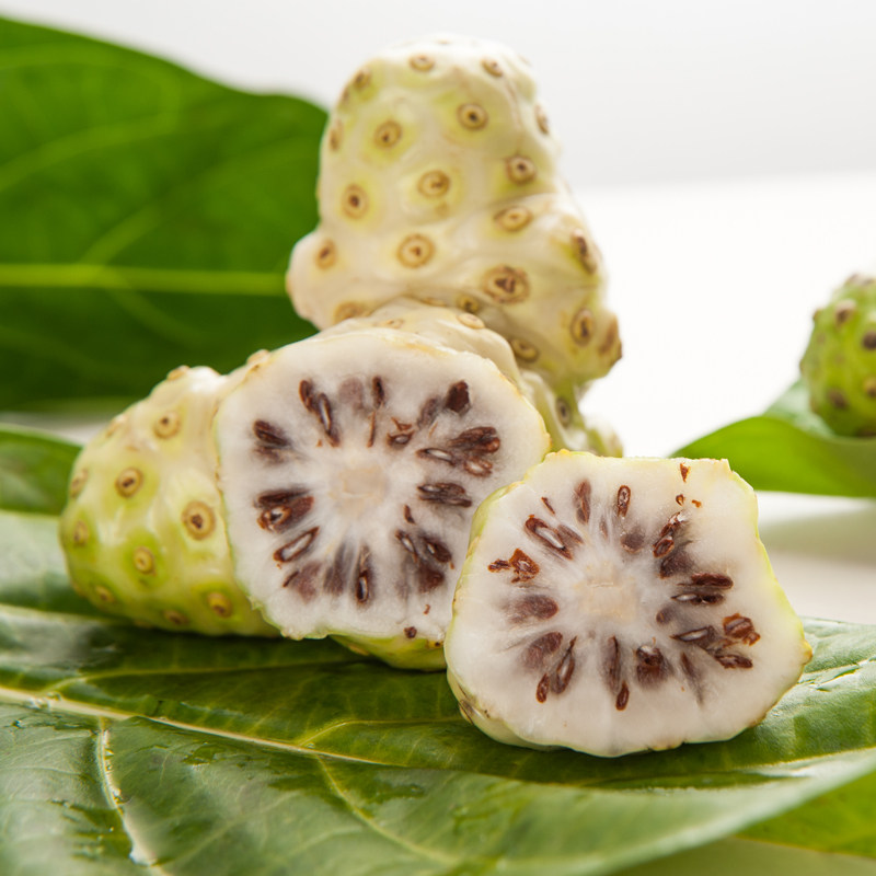 顺丰空运5斤海南新鲜诺丽果实诺尼果熬炖汤其它