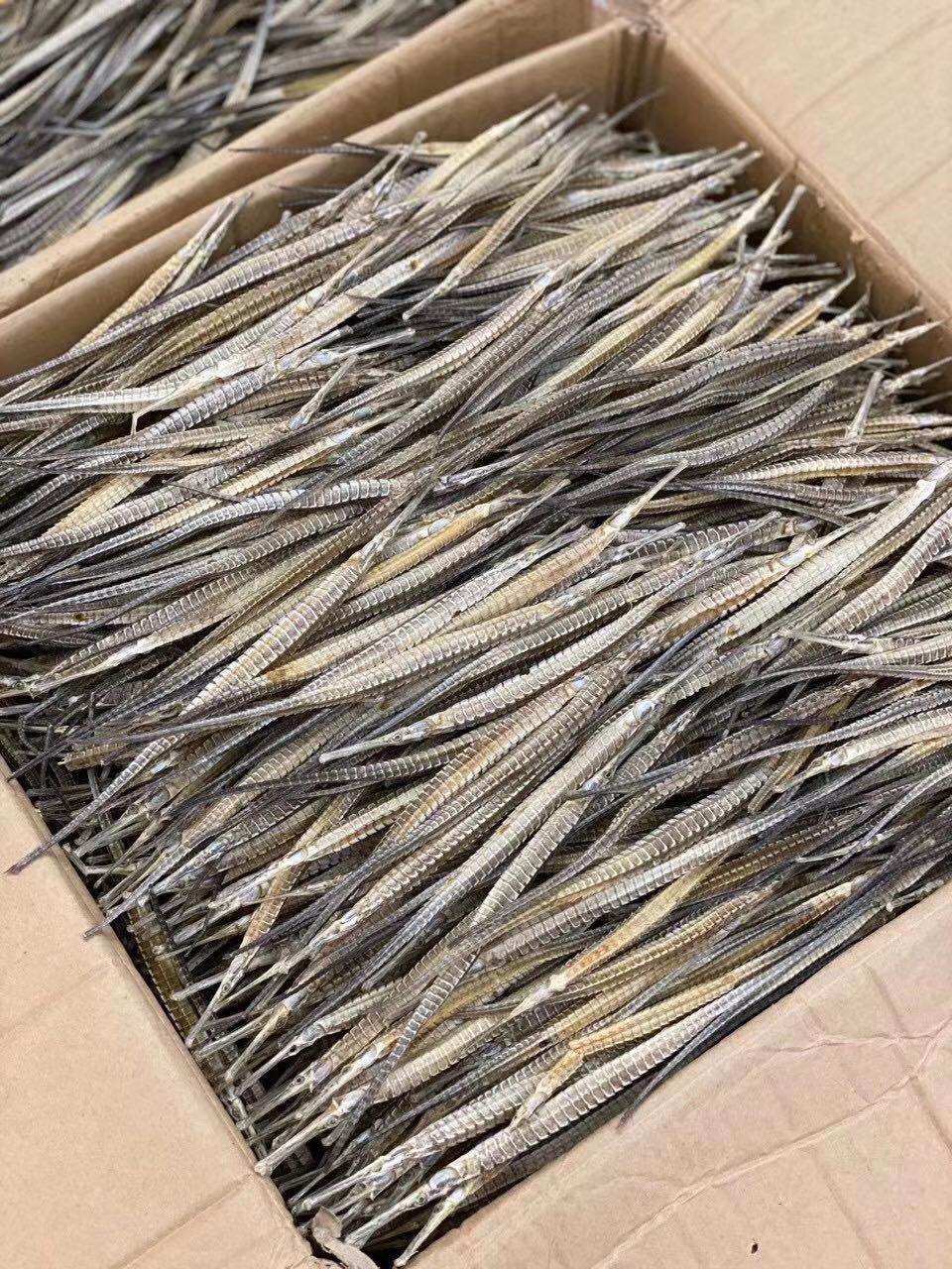 海龙大号六角海产品干货泡酒煲汤入药材料50克传统滋补品其他