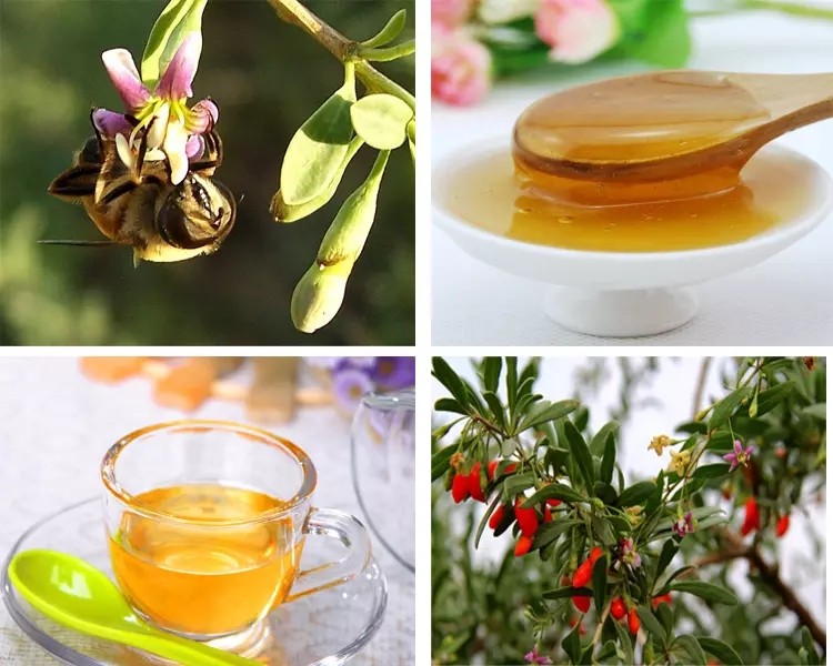 青海诺木洪枸杞蜜蜂蜜野生纯天然无添加蜂蜜农家自产土特产500g