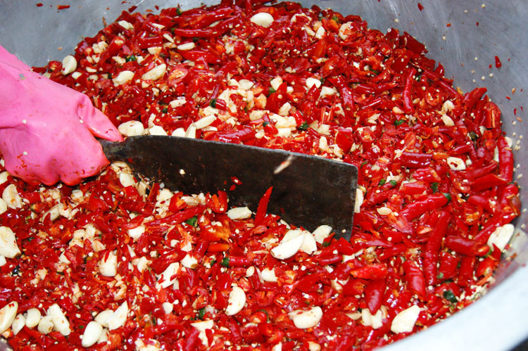 正宗辣山剁辣椒贵州特产遵义手工糟辣椒酸辣子1瓶包邮1.6kg大瓶装