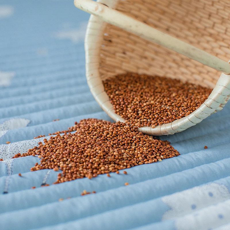 蒙稷床垫 幼儿园午睡苎麻宝宝小垫被子床褥 新生婴儿荞麦皮凉席儿