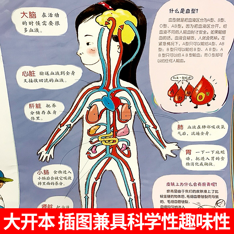 我可爱的身体 0岁1岁2岁3岁4岁5岁6岁儿童百科全书绘本图画书 幼儿园