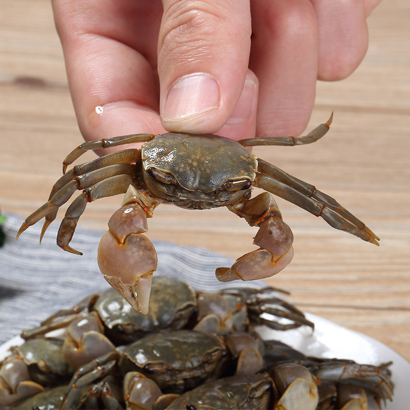 宁波特产白玉蟹500g即食醉蟹小螃蟹腌制咸蟹呛蟹醉螃蜞海鲜腌蟛蜞