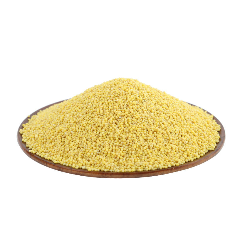 小米低温烘焙现磨五谷杂粮豆浆磨粉原料散装5斤小米