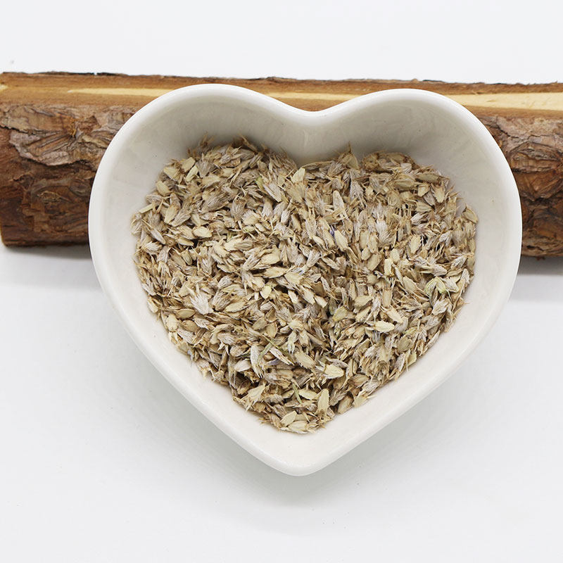 高山刺芹种子英国进口海东青花蓝刺头庭院阳台家庭园艺种子