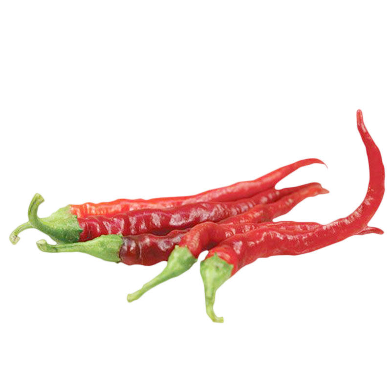 卡宴辣椒种子美国进口传家宝春秋高产特辣家庭家庭园艺种子