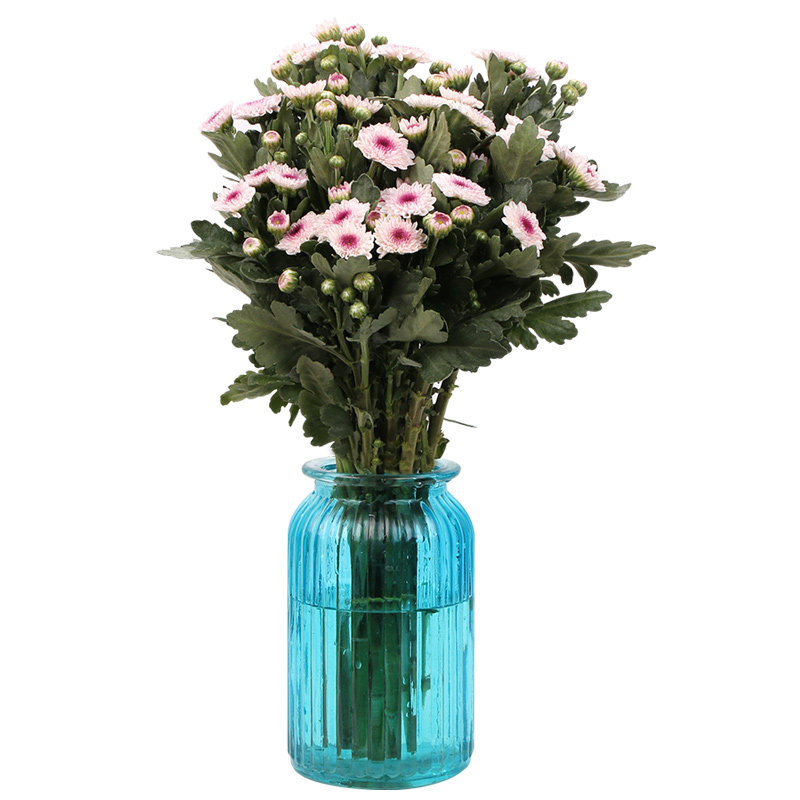 云南鲜花斗南基地地直多头小雏菊家用办公室室内鲜花速递同城