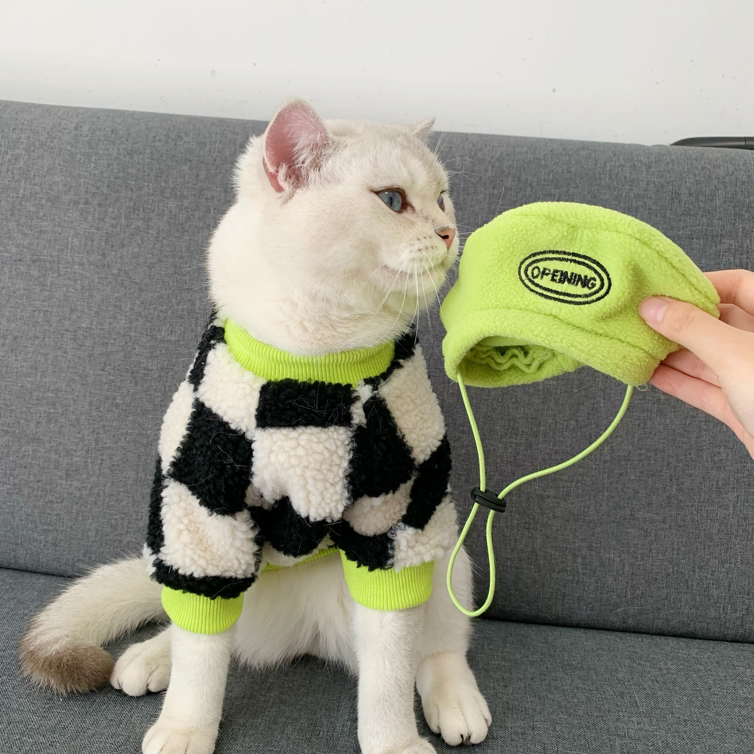 猫咪衣服冬装英短蓝猫小猫新款潮牌毛衣公猫狗宠物服装