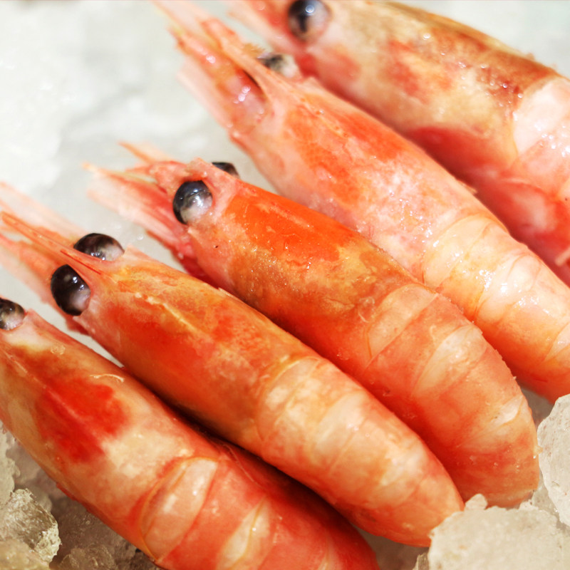 北极虾头籽冰北极熊甜虾即食熟冻元宝虾非腹籽冻虾