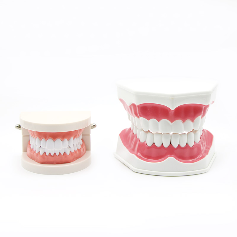 牙科材料咬合垫口内支撑器撑开器成人儿童口内撑带吸管孔口内撑