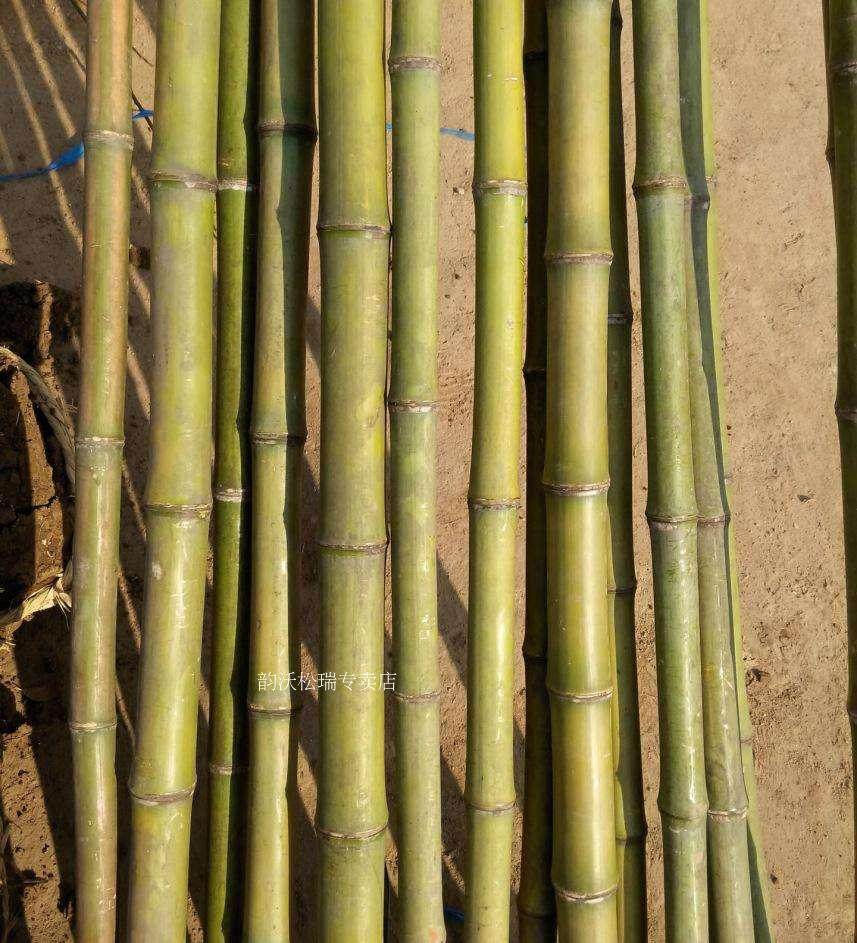 饰篱笆竹围栏工程竹竿 直销竹竿旗杆跳舞竹竿菜园搭架细竹杆庭院装