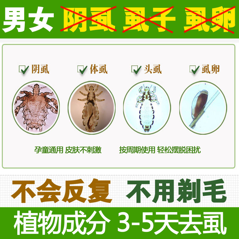 三分钟完全去除阴虱卵图片