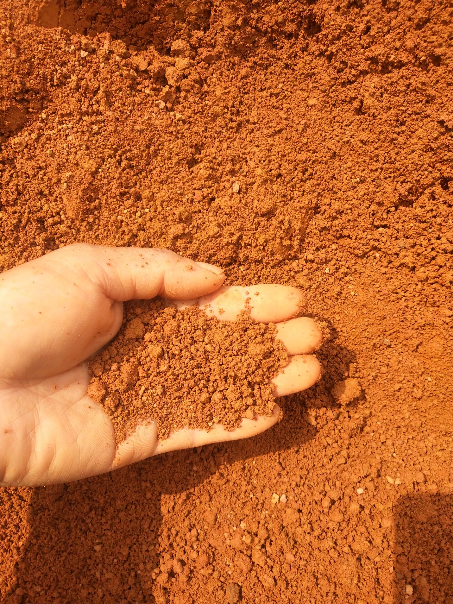 广西绿植盆景盆栽老桩泥土黄泥土横县专用花苗花卉