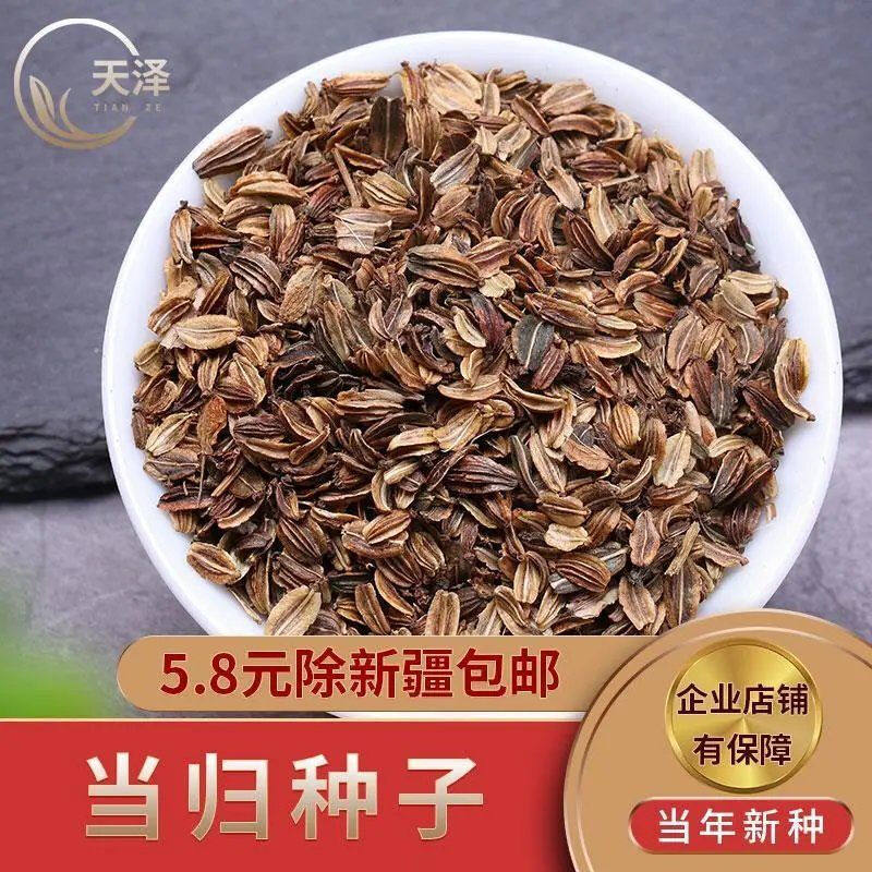 当归种子多年多年生生材庭院大田阳台盆栽药材家庭园艺种子