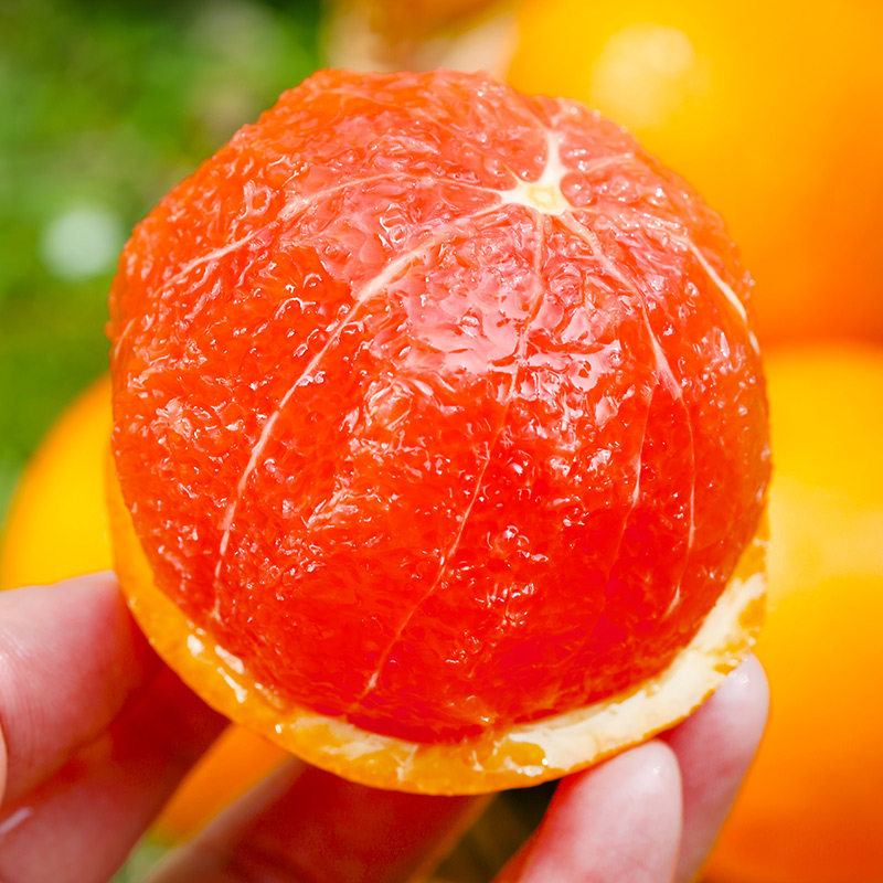 水果血橙9斤秭归中华华红橙子新鲜当季年货橙