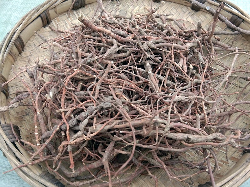 贵州中药材野生鸡筋1斤包邮干货黄脚鸡黄鸡胖黄鸡郎其他药食同源食品