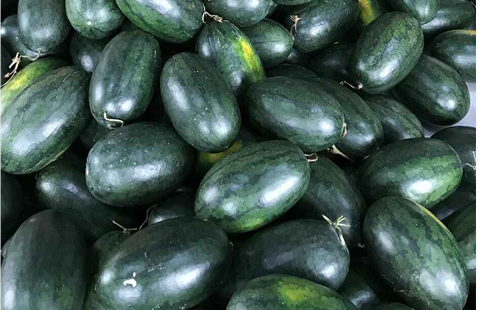 新鲜越南进口黑美人薄皮多汁西瓜时令水果一个西瓜