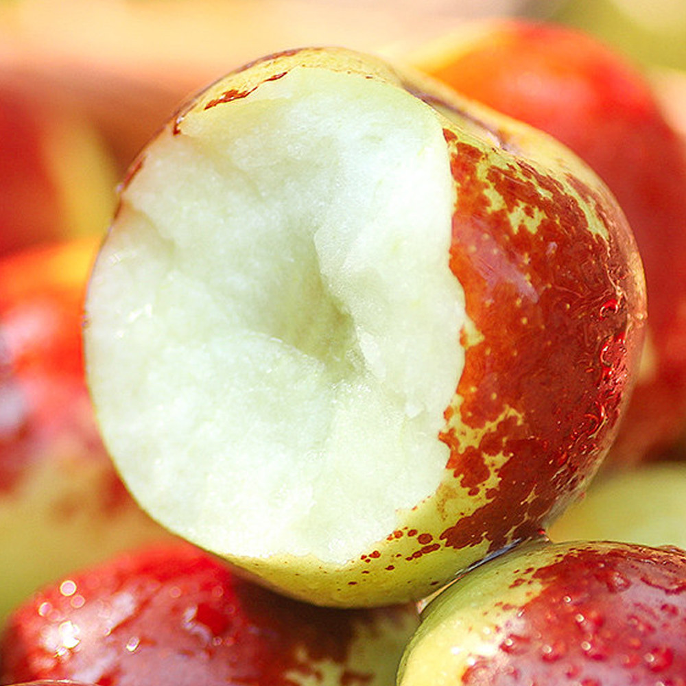 新鲜生鲜山东沾化冬枣枣子脆枣甜枣现摘当季枣